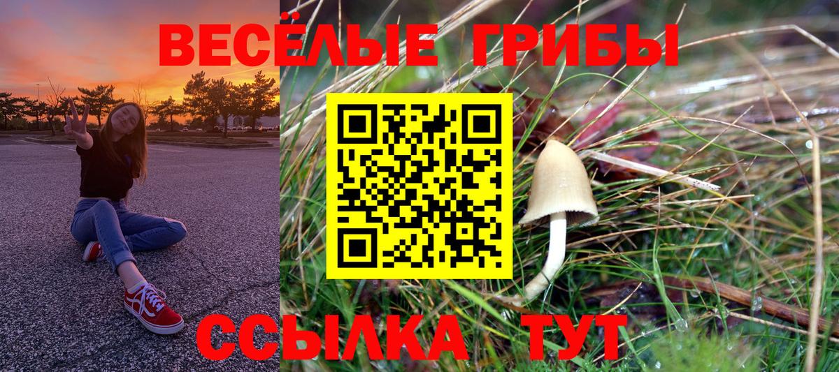 Галлюциногенные грибы ЛСД  Красноуфимск 