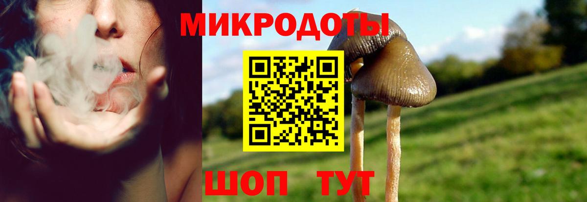 Псилоцибиновые грибы мицелий  Вход с VPN  Красноуфимск 